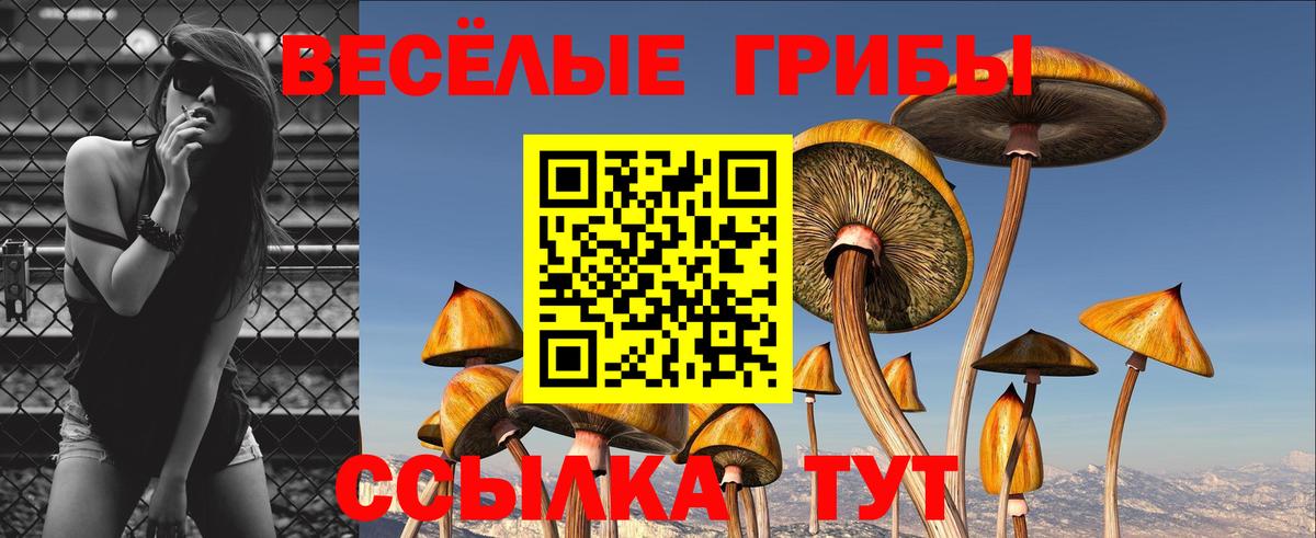 Псилоцибиновые грибы MAGIC MUSHROOMS Якутск